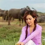 GIÓ CHIỀU MIỀN TÂY ( TRỮ TÌNH )