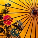 Tuyệt Phẩm Trữ Tình - Những Ngày Mưa Rơi