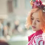 Tuyển tập Suni Hạ Linh