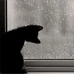 Chờ ng&agrave;y mưa qua