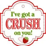 Crush On You