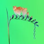 Skin Companion (EP)