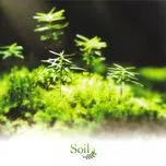 [KSLA-0070] Soil