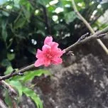 Dịu d&agrave;ng m&ugrave;a Xu&acirc;n