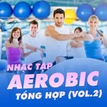 Nhạc Tập Aerobic Tổng Hợp (Vol. 2)