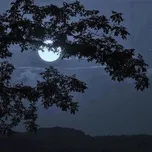 NHẠC T&Igrave;NH BUỒN