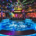 Paradise Beach Club (2011)