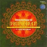Meditation In Vrindavan (Indian Meditation Music)