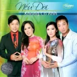 Nếu Đời Không Có Anh