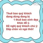 Album nhạc chọn lọc Thao thức vì...
