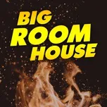 Big Room House