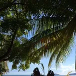 Hey beach. I'm here!