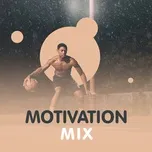 Motivation Mix