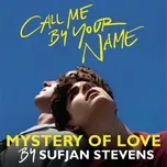 Mystery Of Love (Single)