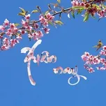 Xuân Nay (Xuân Xưa & Nay CD 1)