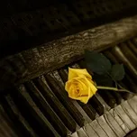 Piano - Khoảng lặng cuộc sống