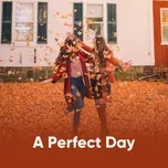 A Perfect Day