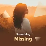 Something Missing
