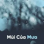 Mùi Của Mưa
