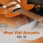 Tuyển Tập Nhạc Việt Acoustic (Vol. 12)