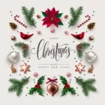 Xmas Is Coming