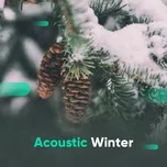 Acoustic Winter