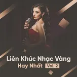 Liên Khúc Nhạc Vàng Hay Nhất (Vol. 2)