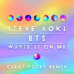 Waste It On Me (Cheat Codes Remix) (Single)