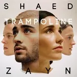 Trampoline (Single)