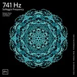 741 Hz Full Body Detox (EP)