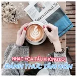 Album Nhạc Hòa Tấu Không Lời Đánh Thức Tâm Hồn