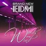 Brand New EDM - Words Of The Wind