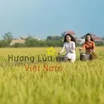 Hương Lúa Việt Nam