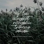 Anh Cũng Biết Rắng Bầu Trời Cao Vời Vợi