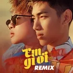 Em Gì Ơi Remix
