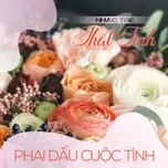 Nhạc Trẻ Thất Tình - Phai Dấu Cuộc Tình