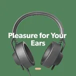 Pleasure For Your Ears