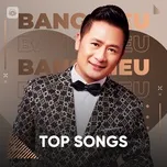 Những Bài Hát Hay Nhất Của Bằng Kiều