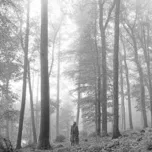 Folklore (Bonus Track Version)