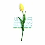 Puzzle For Kids (Single)