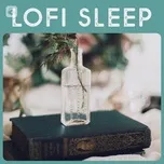 Lofi Sleep