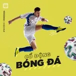 Những Bài Hát Hay Nhất Về Cổ Động Bóng Đá