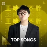 Những Bài Hát Hay Nhất Của Vương Tĩnh Văn Không Mập