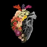 Heart Bloom Ballad