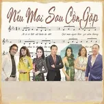 Nếu Mai Sau Còn Gặp