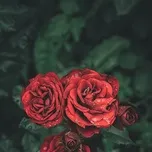 Japanese Singers Part 1