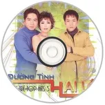 Đường Tình Hai Lối (Top Hits 3)