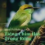 Tiếng Chim Hót Trong Rừng