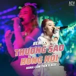 Thương Sao Hỏng Nói (Remix)