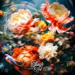 TÌNH TỨ (EP)